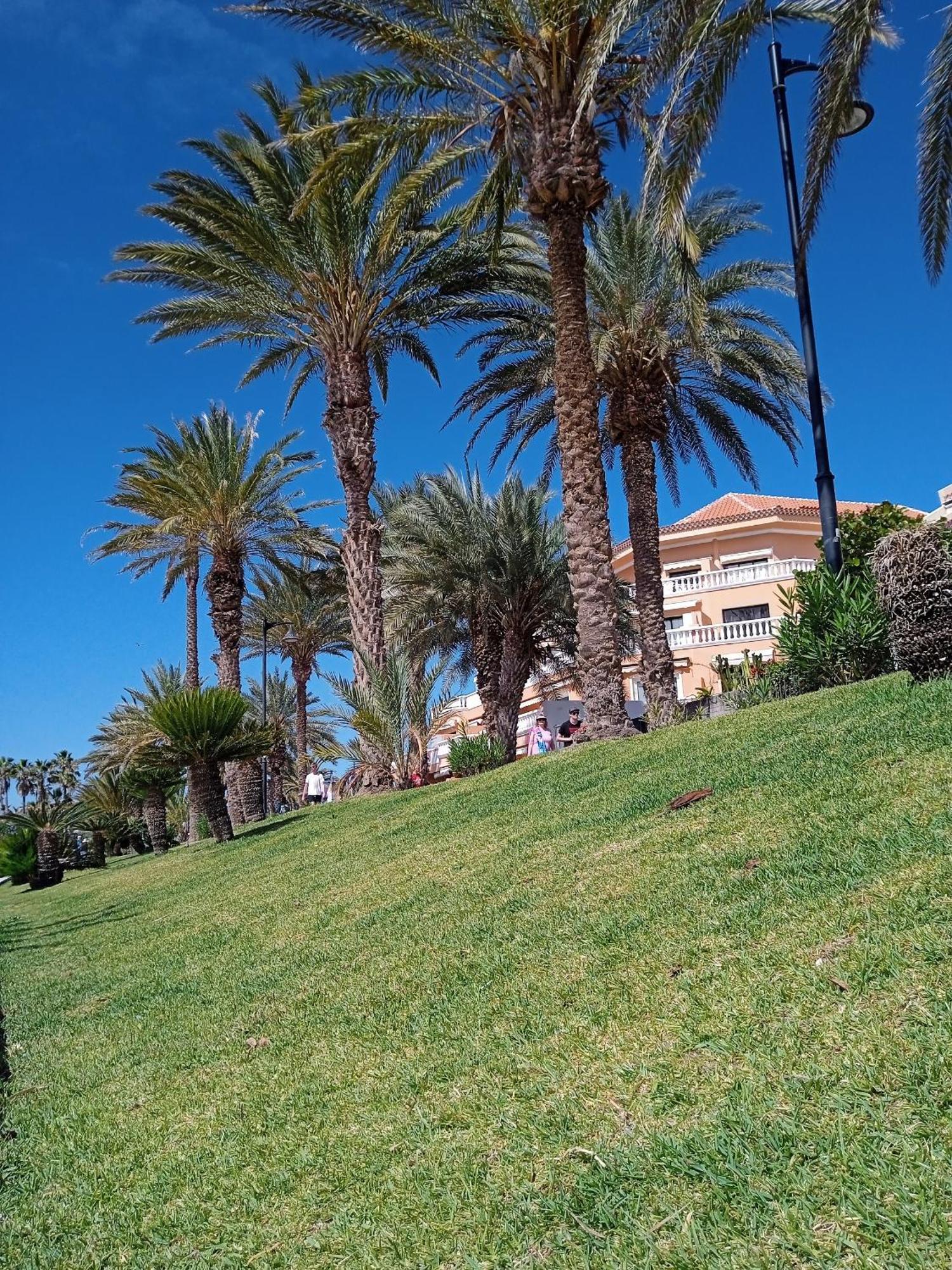 Apartamento Familiar Con Piscina Con Wi Fi En Los Cristianos Los Cristianos  Buitenkant foto